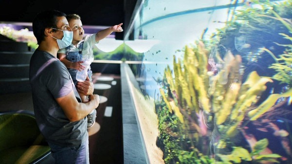 Oceanário de Lisboa